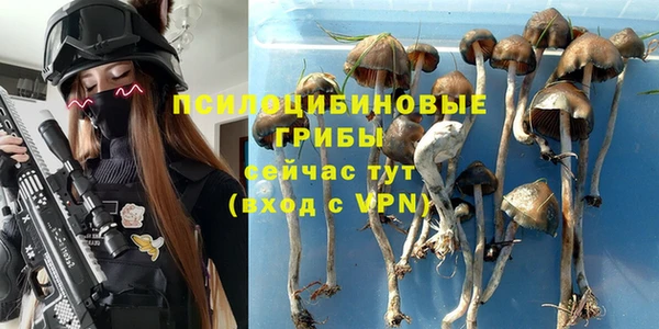 a pvp Богородск