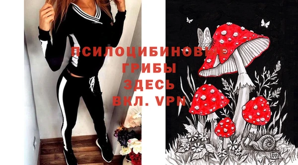 a pvp Богородск